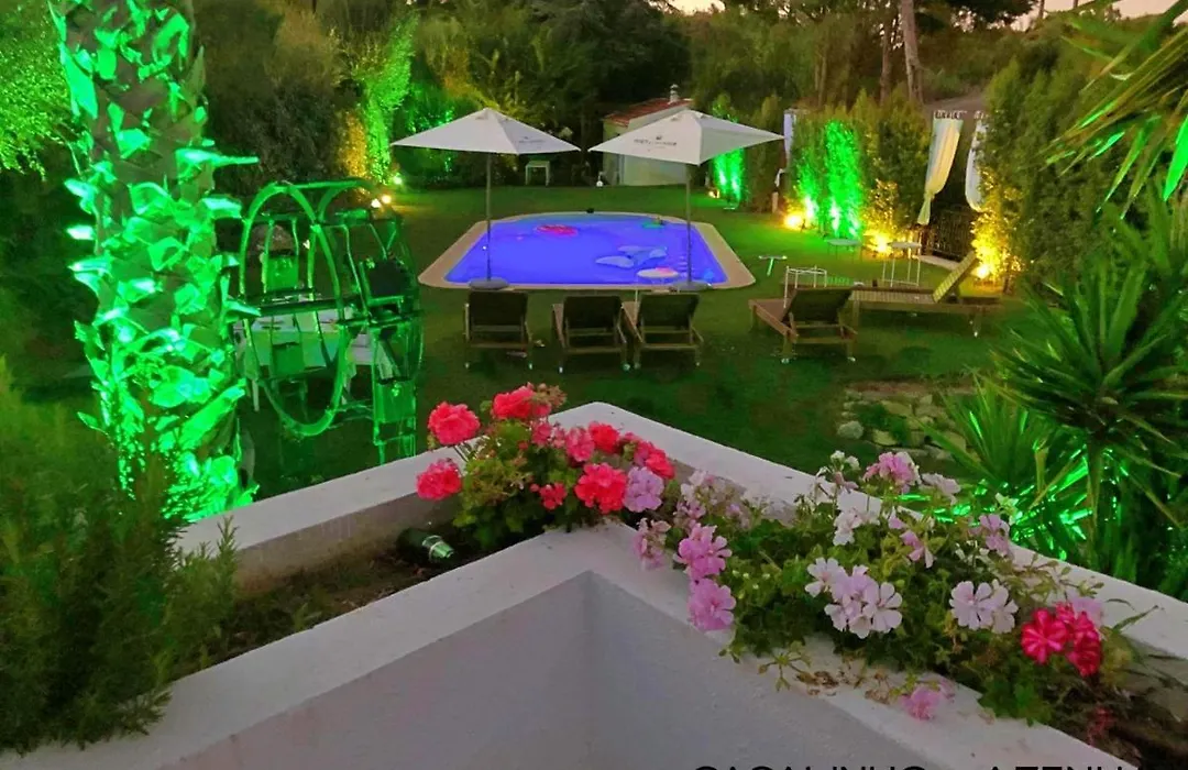 Casalinho Da Azenha - Charm House-1