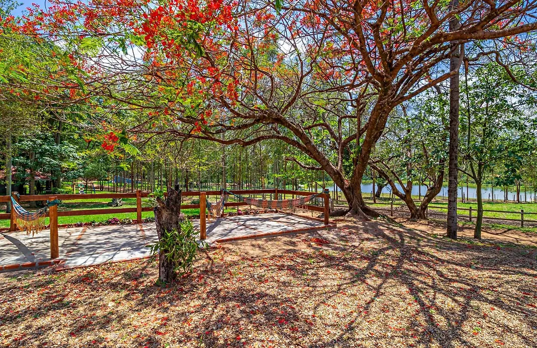 Palmeiras Hotel Fazenda-1