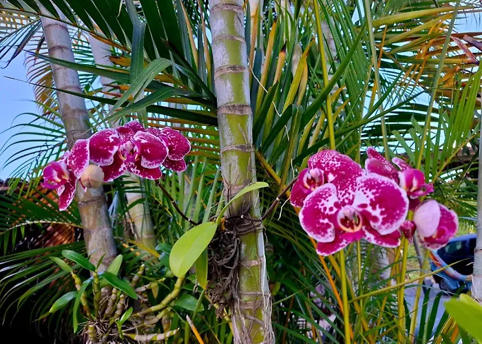 Sossego do Perequê Hotel Ubatuba